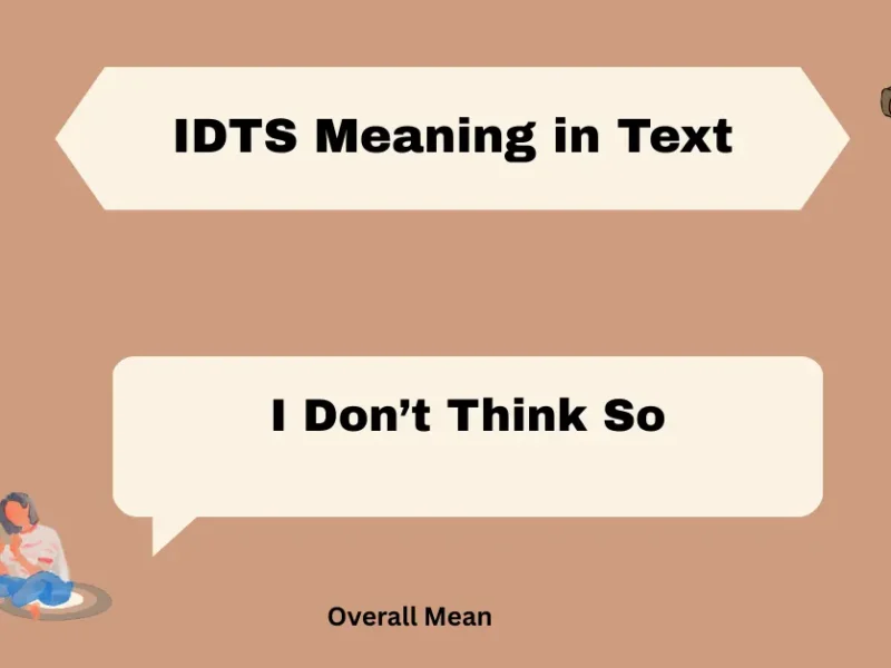 IDTS Meaning in Text