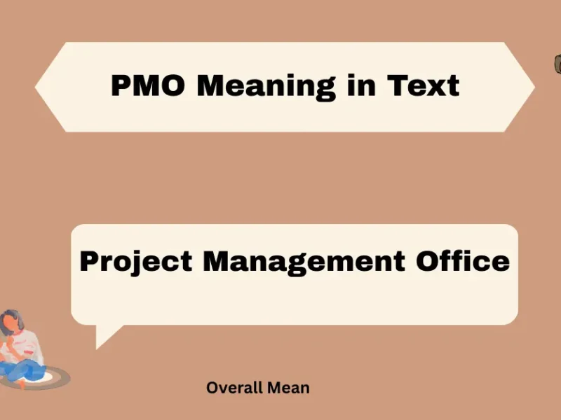 PMO Meaning in Text
