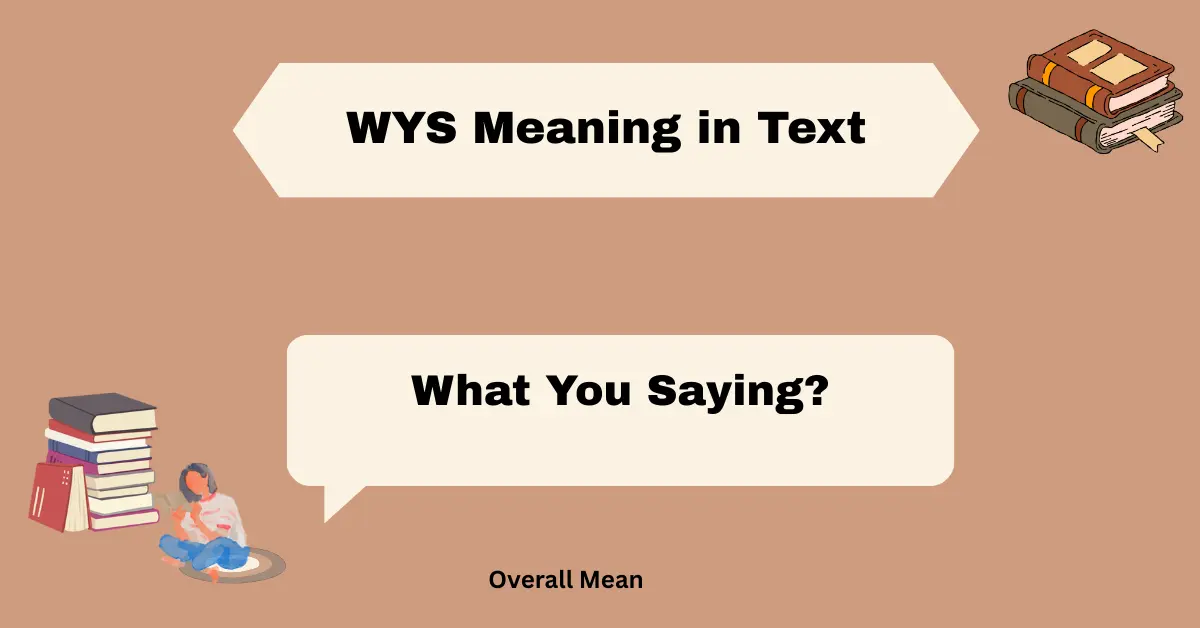 WYS Meaning in Text